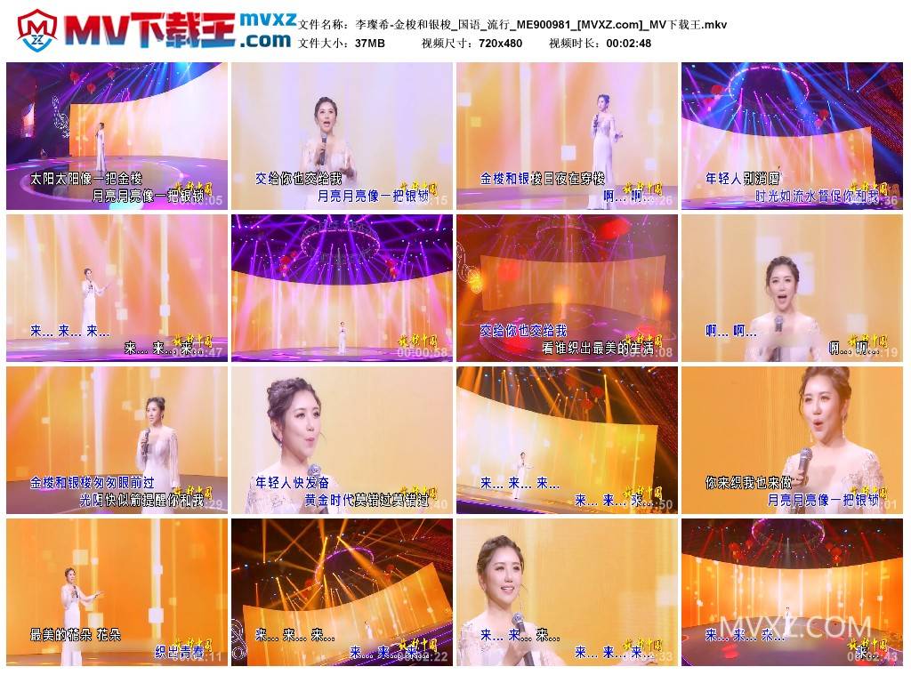 李璨希-金梭和银梭_国语_流行_ME900981